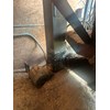 Capital Forest Products Shavings Mill